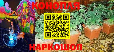 твердый Новокубанск