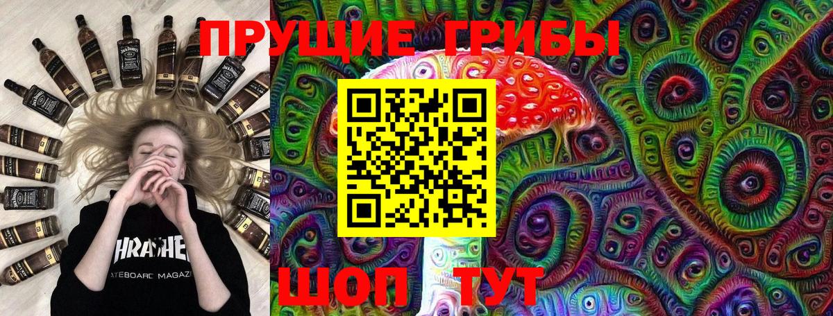 Галлюциногенные грибы Cubensis  Псилоцибиновые грибы Psilocybe  Ртищево  Вход с VPN 
